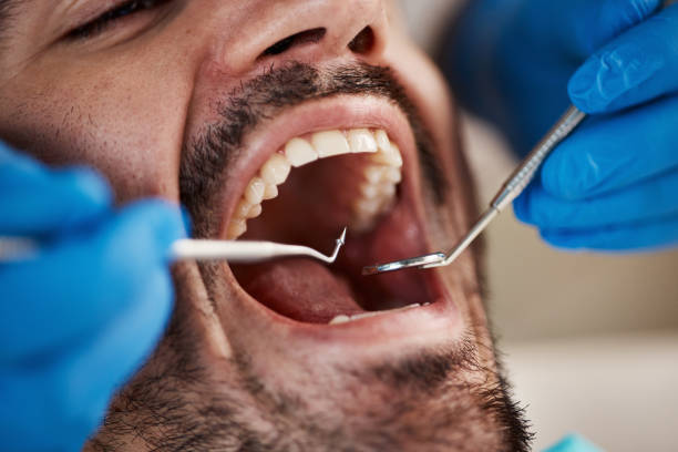 Best Emergency Pediatric Dental Care in Nsfield Center, MA